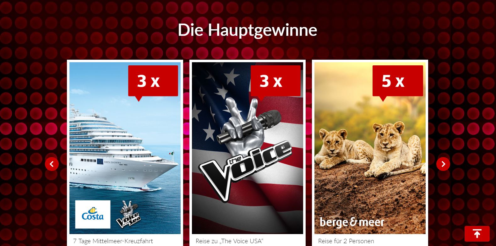 Das Grosse Buzzern Das Grosse Buzzern