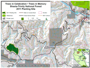 map_shasta-trinity-national-forest